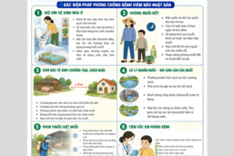 CHỦ ĐỘNG PHÒNG, CHỐNG BỆNH VIÊM NÃO NHẬT BẢN